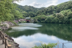 ajisai_07